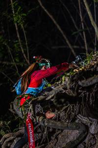 BIB: 
                            <button type="button" onclick="openModal(19481752)" class="btn btn-primary btn-sm float-right btn-popup" data-toggle="modal" data-target=".modal-high-quality">
                        <i class="fas fa-shopping-cart"></i> Add to Cart
                    </button>
                                            <button type="button" onclick="isThisMe(19481752, true)" class="btn btn-success btn-sm float-right btn-popup btn-isme hidden" data-toggle="tooltip" data-placement="bottom" title="นี่คือรูปของคุณใช่ไหม คลิกที่นี่เพื่อเอาเข้าอัลบั้ม">
                        <i class="fas fa-plus"></i> Add to album
                    </button>
                    <button type="button" onclick="isThisMe(19481752, false)" class="btn btn-warning btn-sm float-right btn-popup btn-isnotme hidden">
                        <i class="fas fa-ban"></i> Remove from album
                    </button>